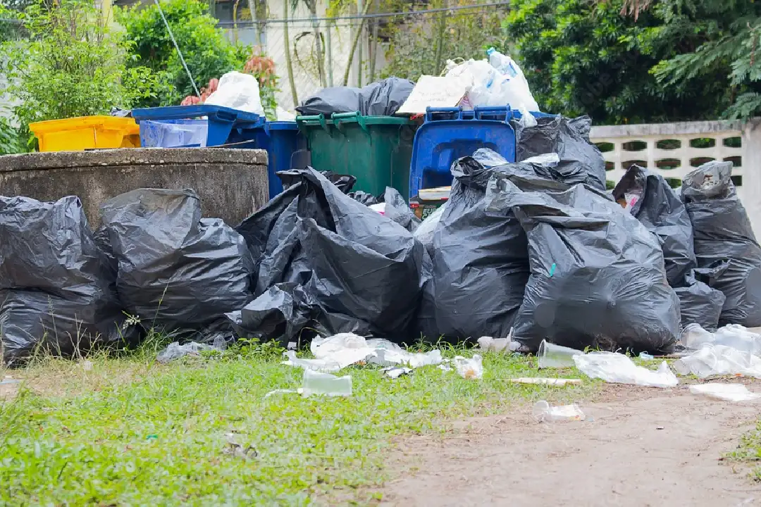 Rubbish Removal Albert Park